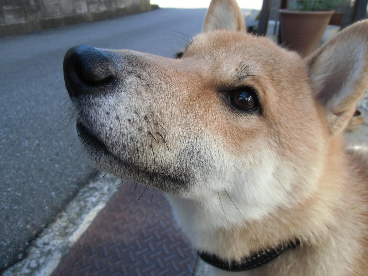 Kanazawa Share House Gaooo מראה חיצוני תמונה