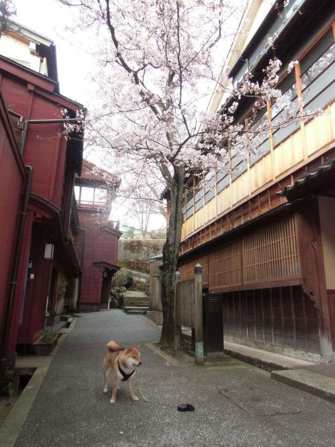 Kanazawa Share House Gaooo מראה חיצוני תמונה