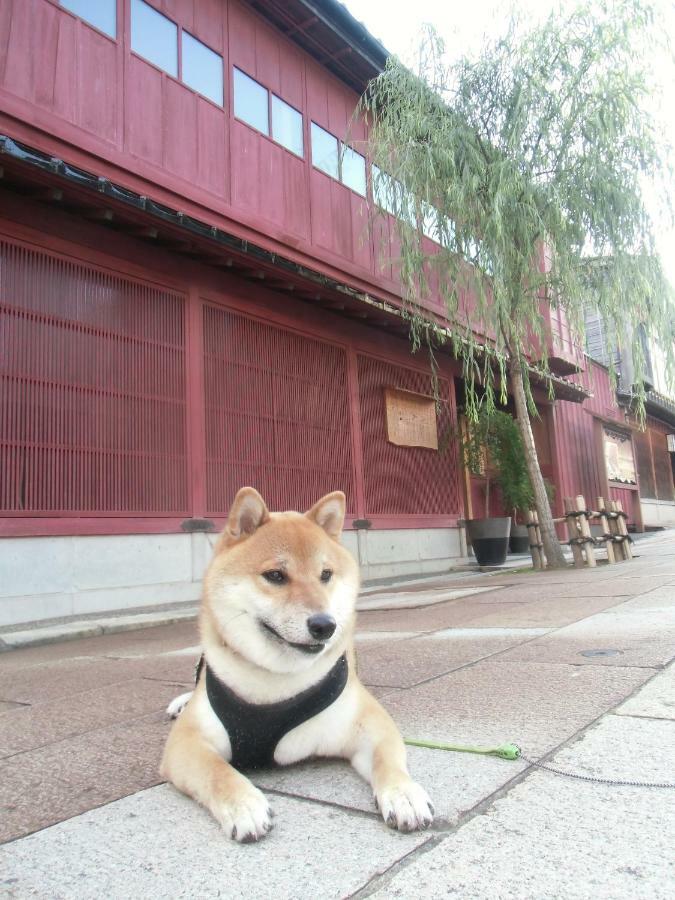 Kanazawa Share House Gaooo מראה חיצוני תמונה